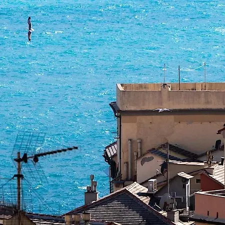 Blues, Finestra Su Boccadasse